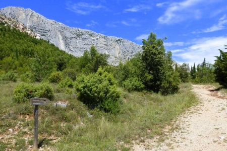zoom_le-sentier-du-trou-en-montee-1_ib14
