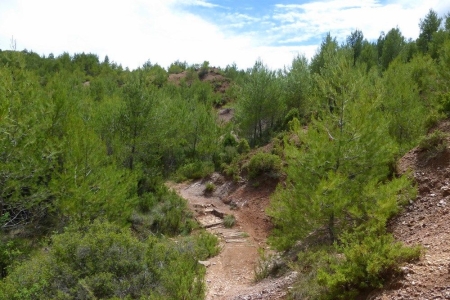 zoom_le-sentier-du-trou-en-montee-1_ib7
