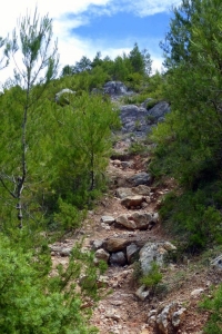 zoom_le-sentier-du-trou-en-montee-1_ib8