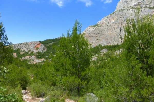 zoom_le-sentier-du-trou-en-montee-1_im6