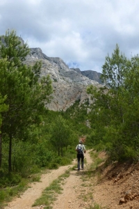 zoom_le-sentier-du-trou-en-montee_ia13