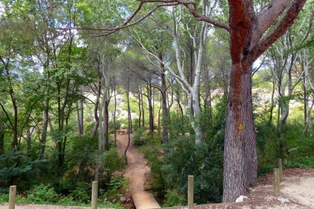 zoom_le-sentier-du-trou-en-montee_ia7