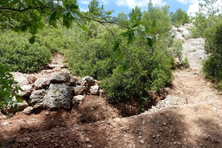 zoom_le-sentier-du-trou-en-montee_ia8
