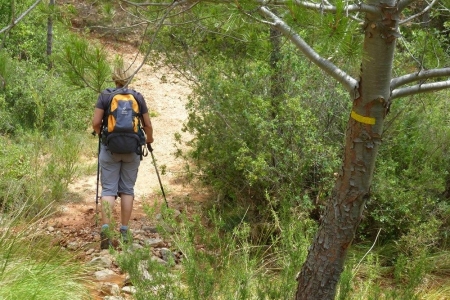 zoom_le-sentier-du-trou-en-montee_ib12