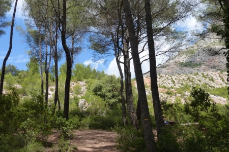 zoom_le-sentier-du-trou-en-montee_ib7