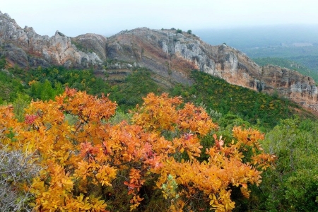 zoom_trace-marron-refuge-cezanne_ia12