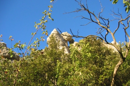 zoom_trace-rouge-relais-saint-ser-col-de-saint-ser-1_ia11