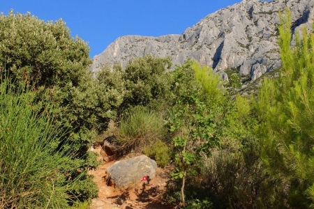 zoom_trace-rouge-relais-saint-ser-col-de-saint-ser_ib7
