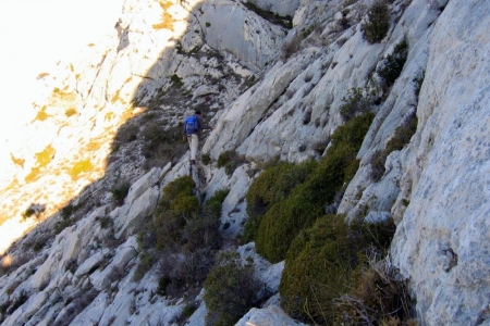 zoom_trace-vert-forcioli1_ia10