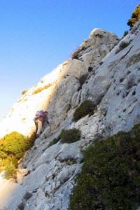 zoom_trace-vert-forcioli1_ia7