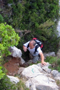 zoom_trace-vert-forcioli1_ia8