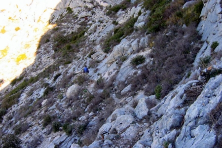 zoom_trace-vert-forcioli1_ib10